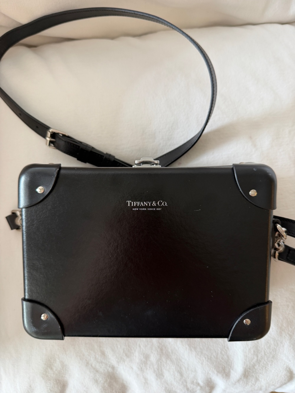 Tiffany & Co. X Globe Trotter